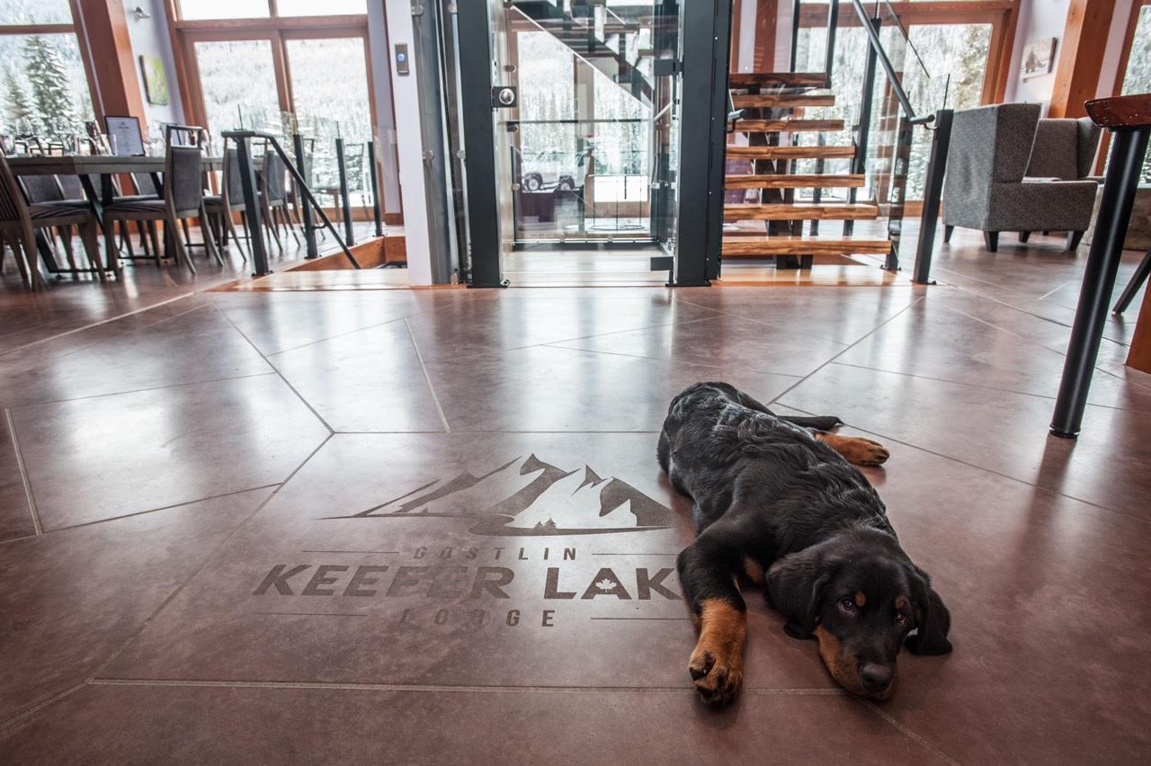 dog lying on the tiled floor inside the ski lodge