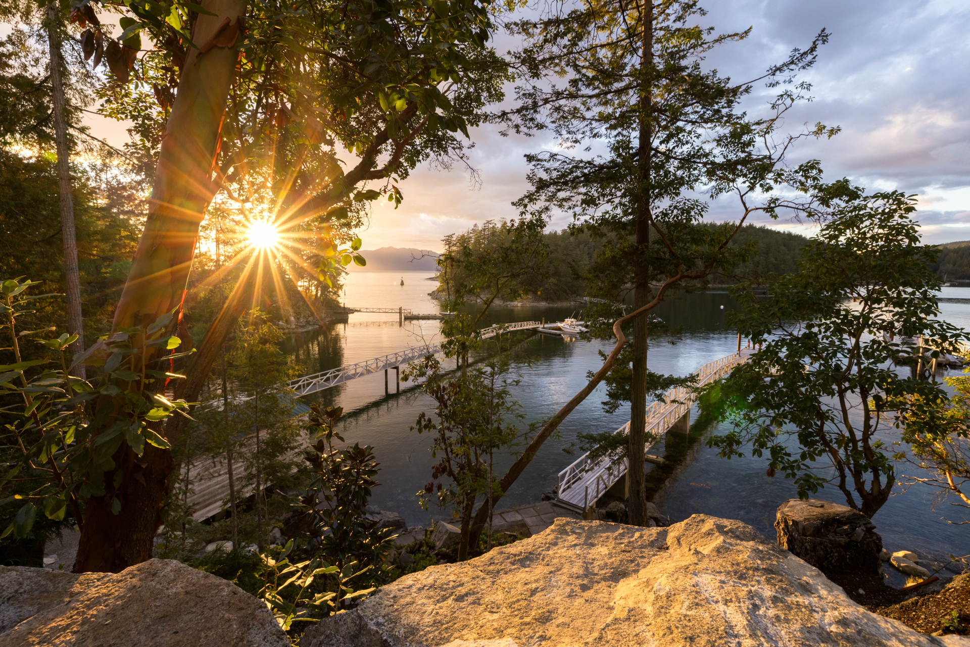 Sunshine Coast Home Design